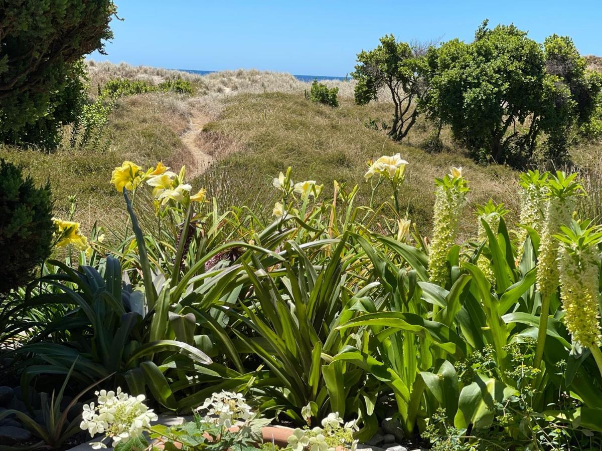 Absolute Beach Mount Maunganui Dış mekan fotoğraf